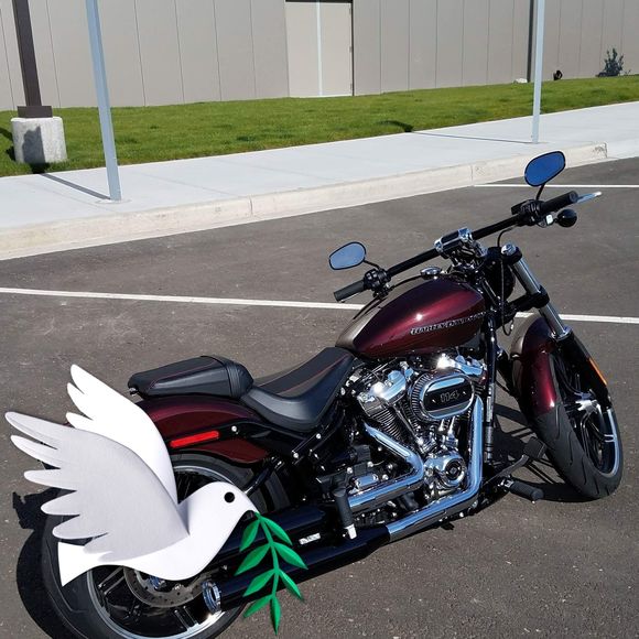 Meet your Posher, John - Picture 1 of 1